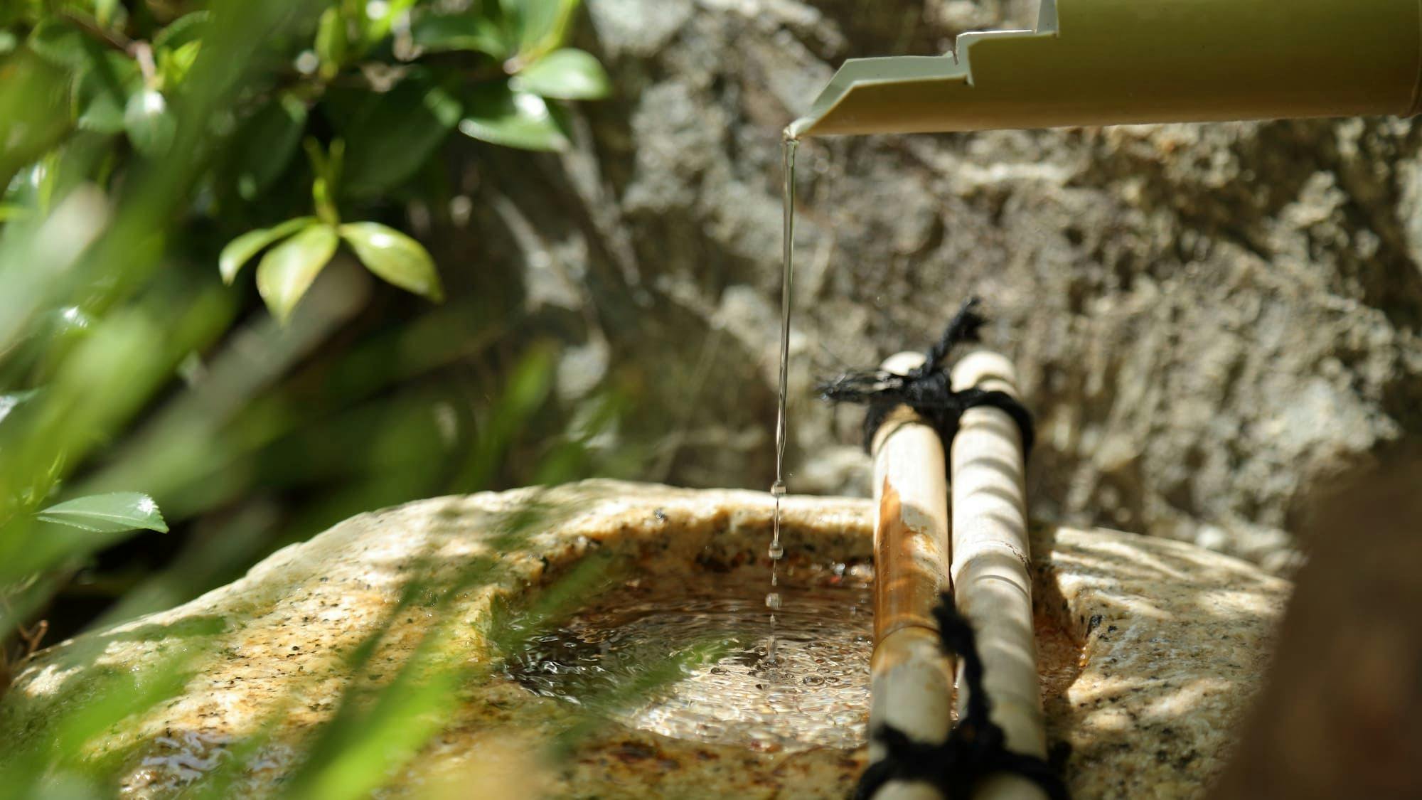 ◆ปลาชิตะและที่พักน้ำพุร้อนซาโซ