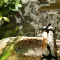 ◆ปลาชิตะและที่พักน้ำพุร้อนซาโซ