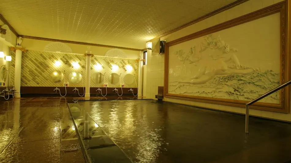 Yamashiro Onsen Saika no Yado Tatami