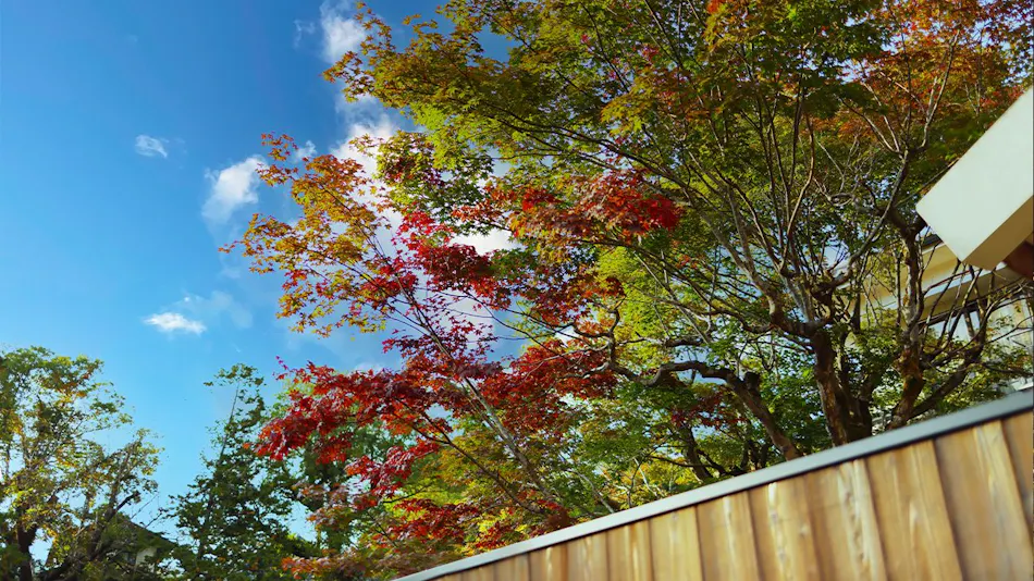 Okutsu Onsen Ikedaya Kajikaen