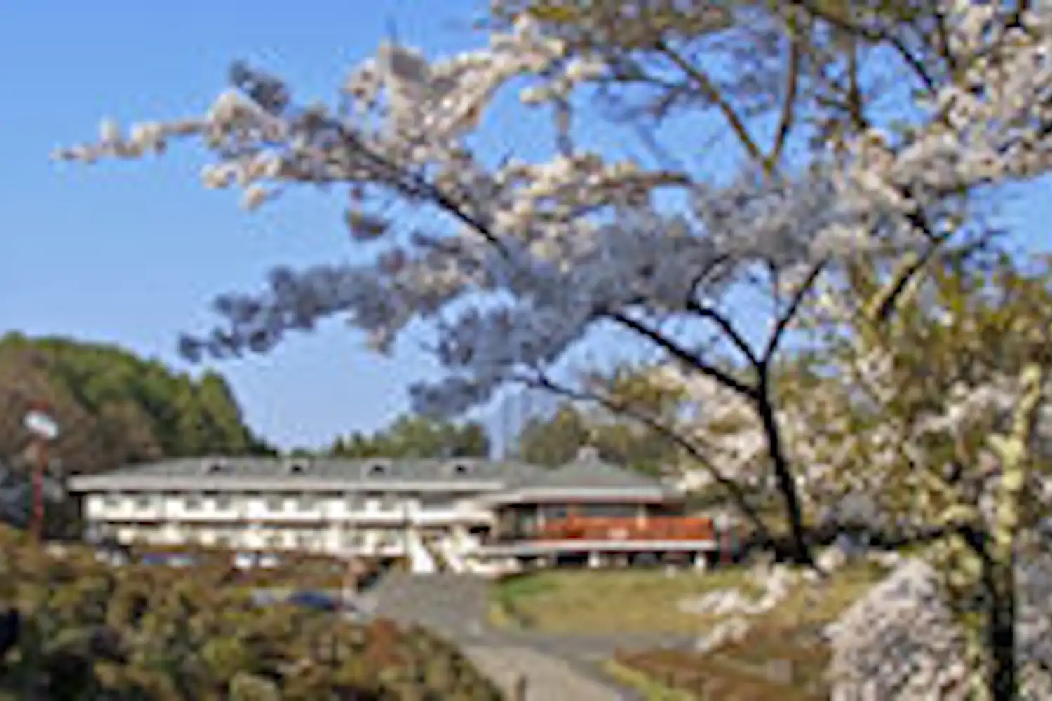施設画像