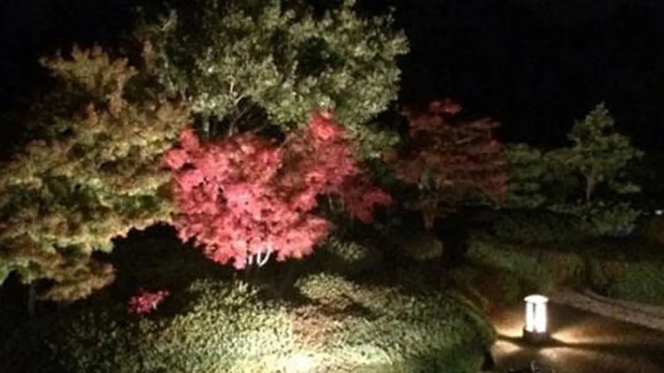 Yamato Kogen Boscovilla