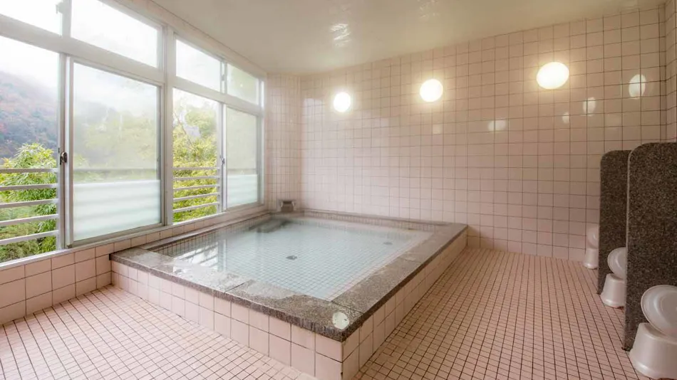 Hakuchi Onsen Konishi Ryokan