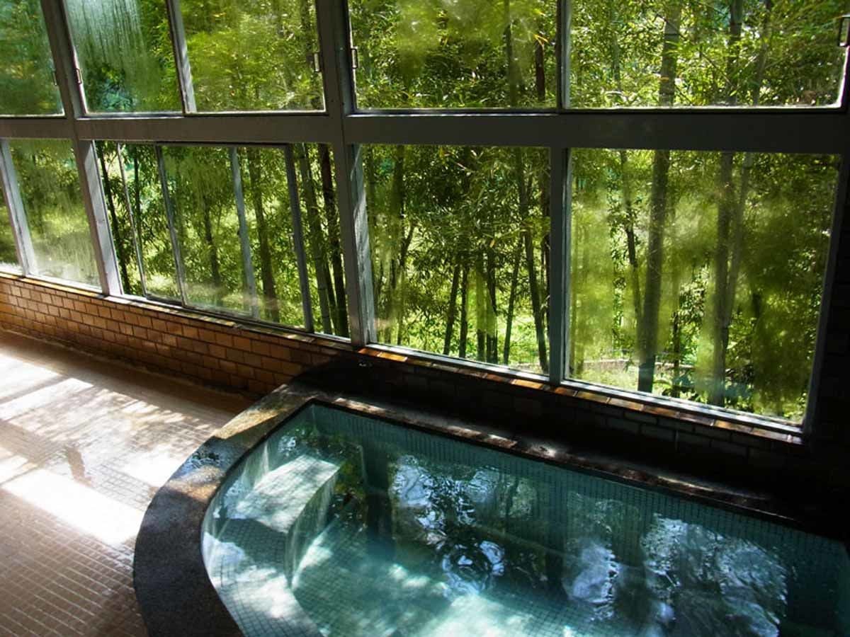 Hakuchi Onsen Konishi Ryokan