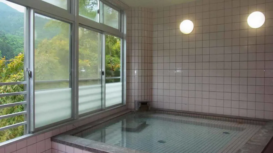 Hakuchi Onsen Konishi Ryokan