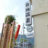 ไม้เท้าคองโกและลักษณะภายนอก