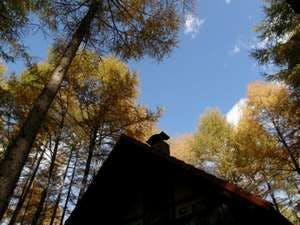 Ezorisu-kun's Inn Canterbury