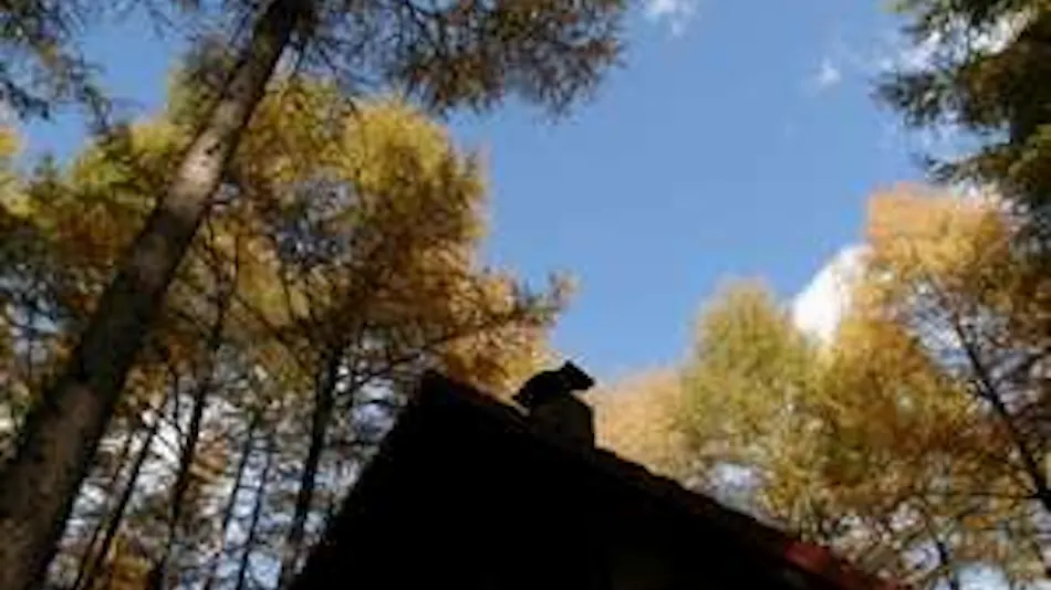 Ezorisu-kun's Inn Canterbury