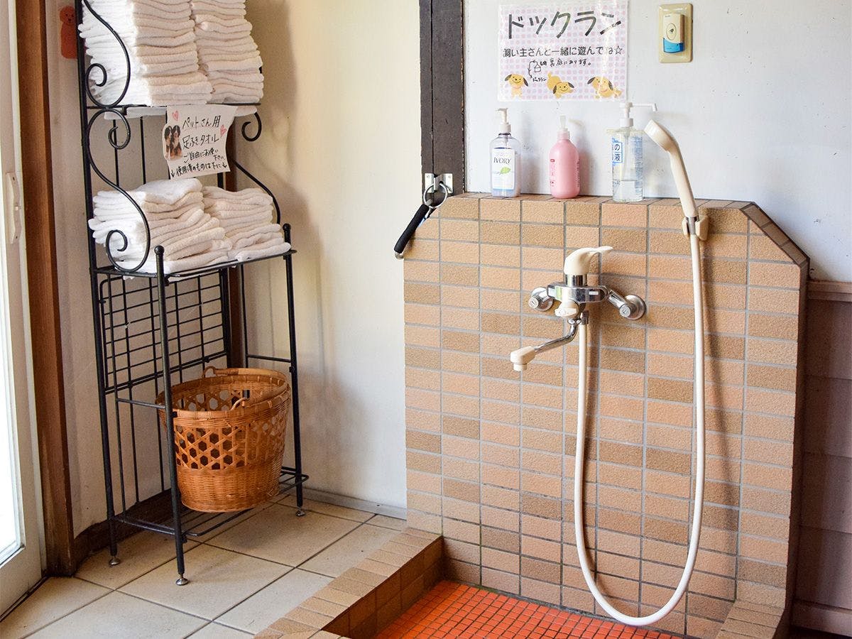 ฝักบัวสำหรับสัตว์เลี้ยง