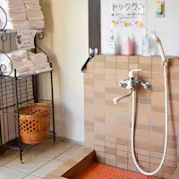 ฝักบัวสำหรับสัตว์เลี้ยง