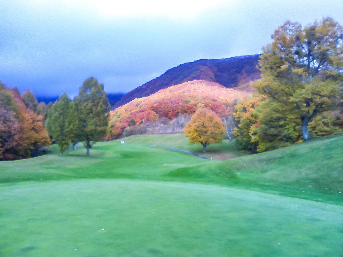 ペンション フェリチェ 宿泊予約なら Yahoo トラベル