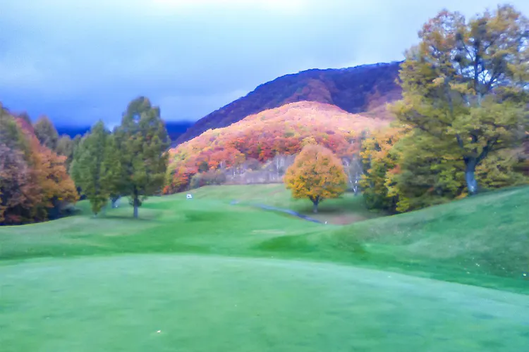 ペンション フェリチェ 宿泊予約なら Yahoo トラベル ペンション フェリチェ 宿泊予約なら Yahoo トラベル