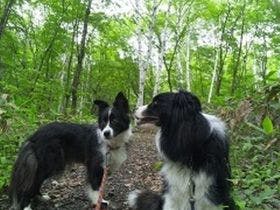 ペンション　フェリチェ