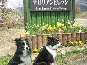 ペンション　フェリチェ