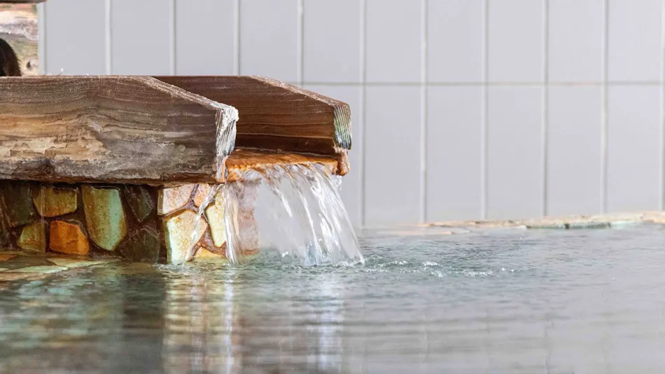Ryugu no Tsukai Inn with Private Hot Spring Source