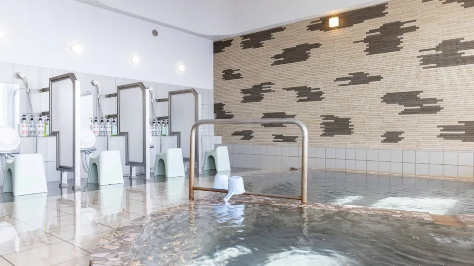 Ryugu no Tsukai Inn with Private Hot Spring Source