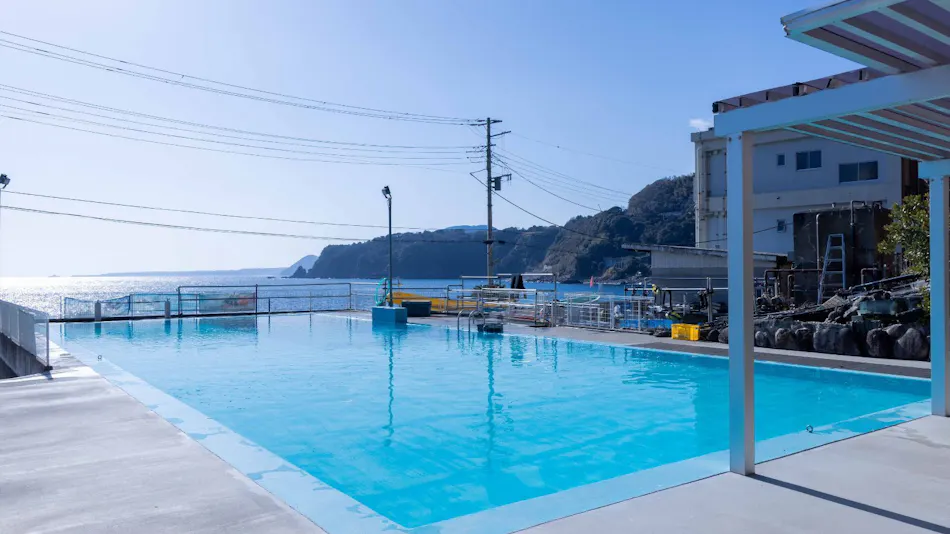 Ryugu no Tsukai Inn with Private Hot Spring Source
