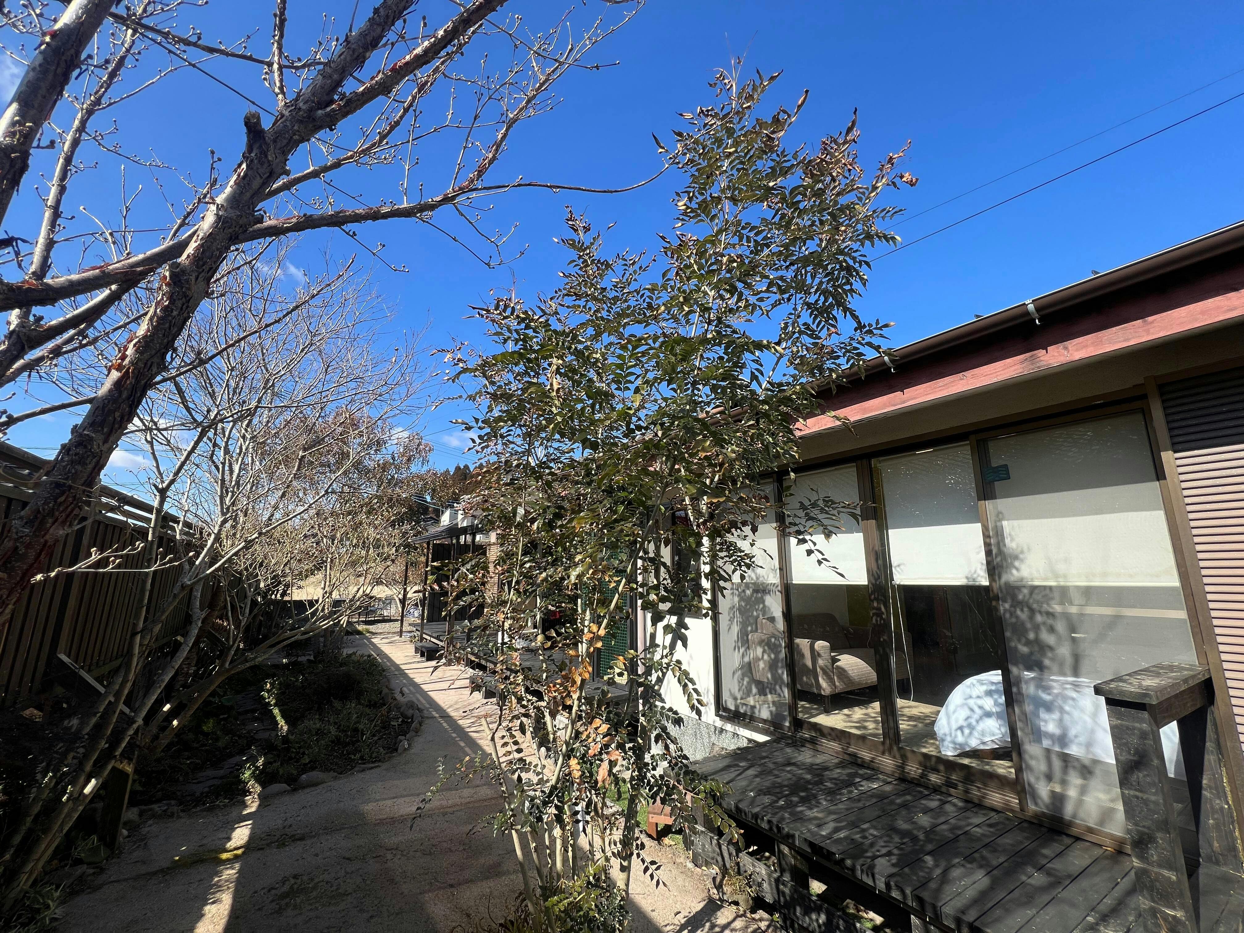 Assi House