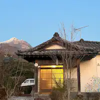 전정