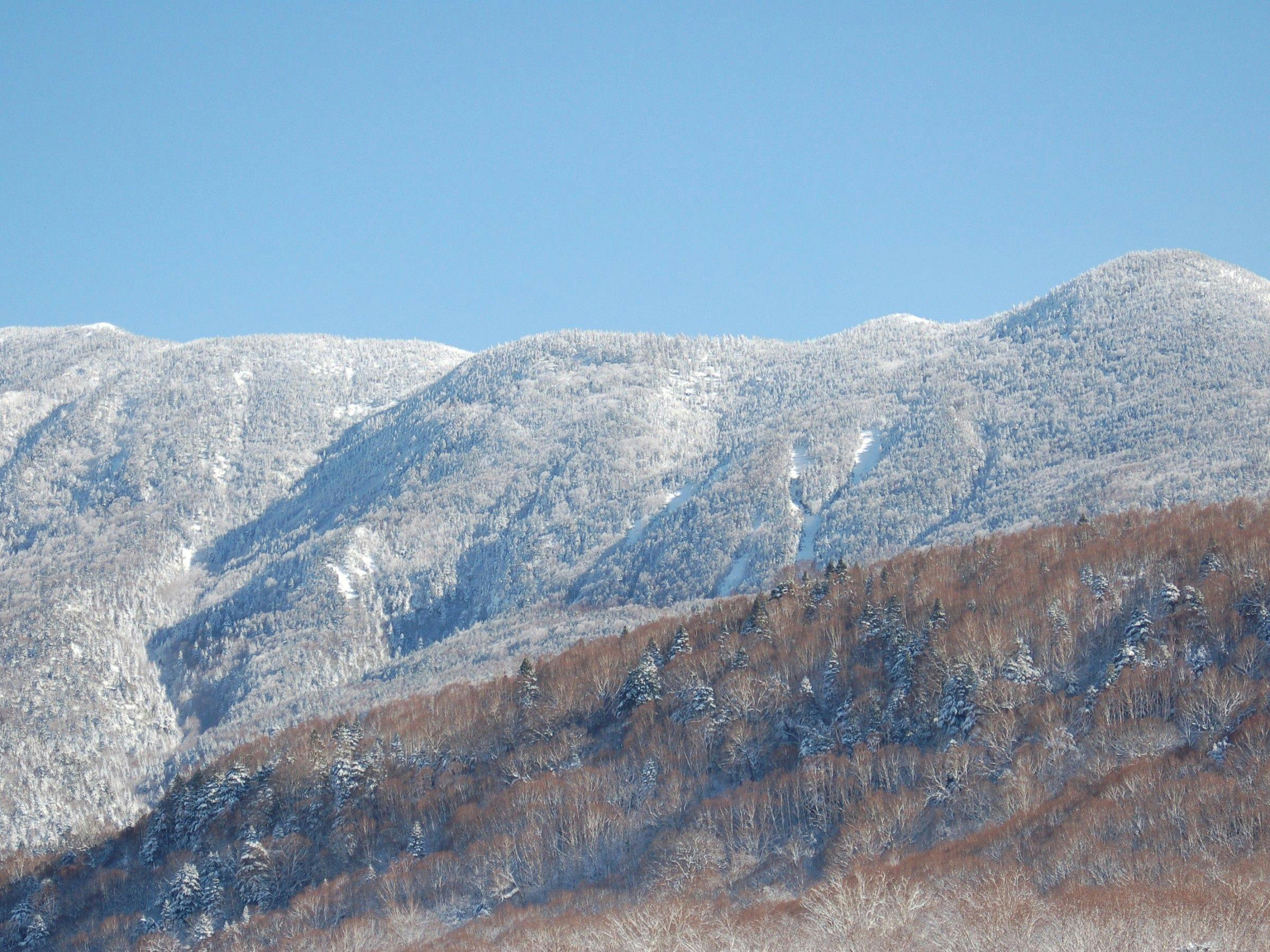 วันหยุดพิเศษที่ได้ใช้เวลาเพลิดเพลินกับทิวทัศน์หิมะ
