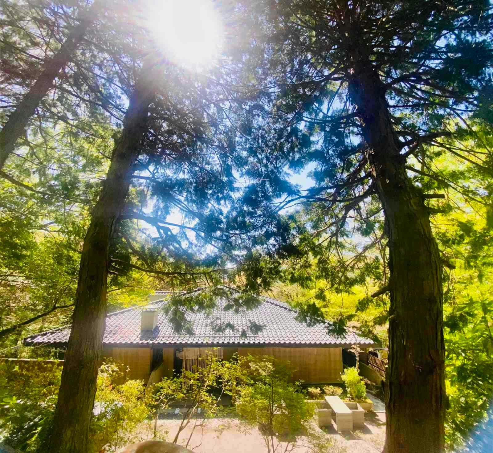 長安寺 | 神奈川 箱根 おすすめの人気観光・お出かけスポット