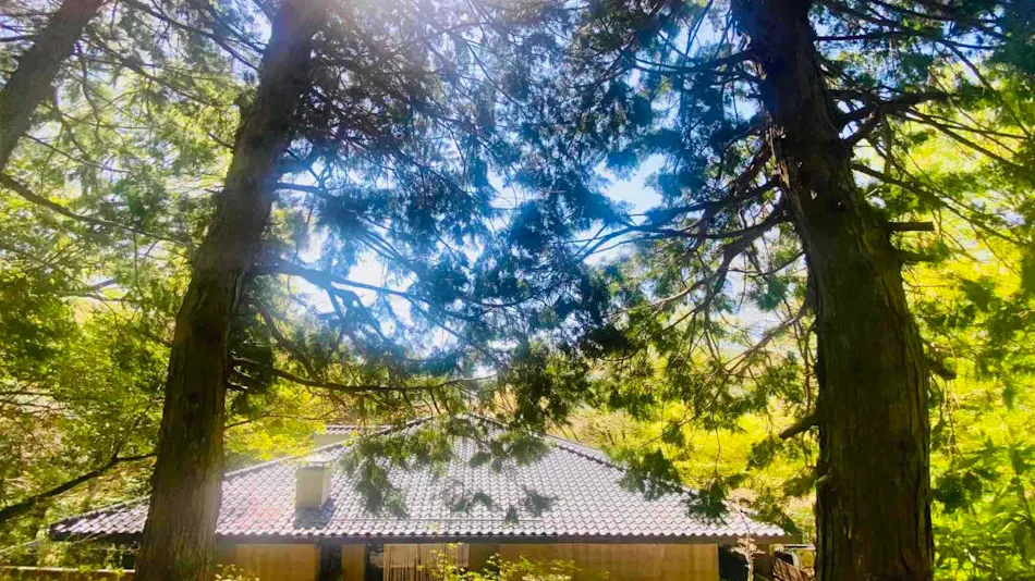 Hakone Saryo Kintoki