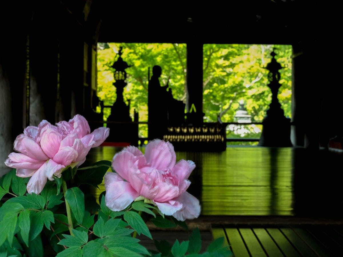 รวมคูปองเข้าชมวัดในนาระสุดคุ้ม♪