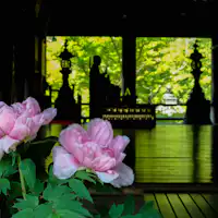 รวมคูปองเข้าชมวัดในนาระสุดคุ้ม♪