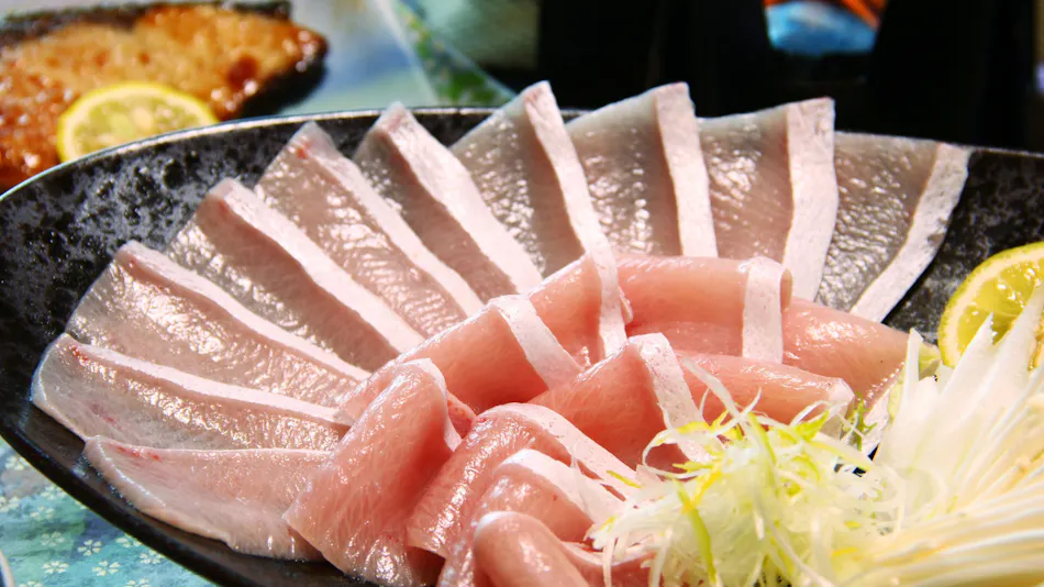 Shikishima Inn