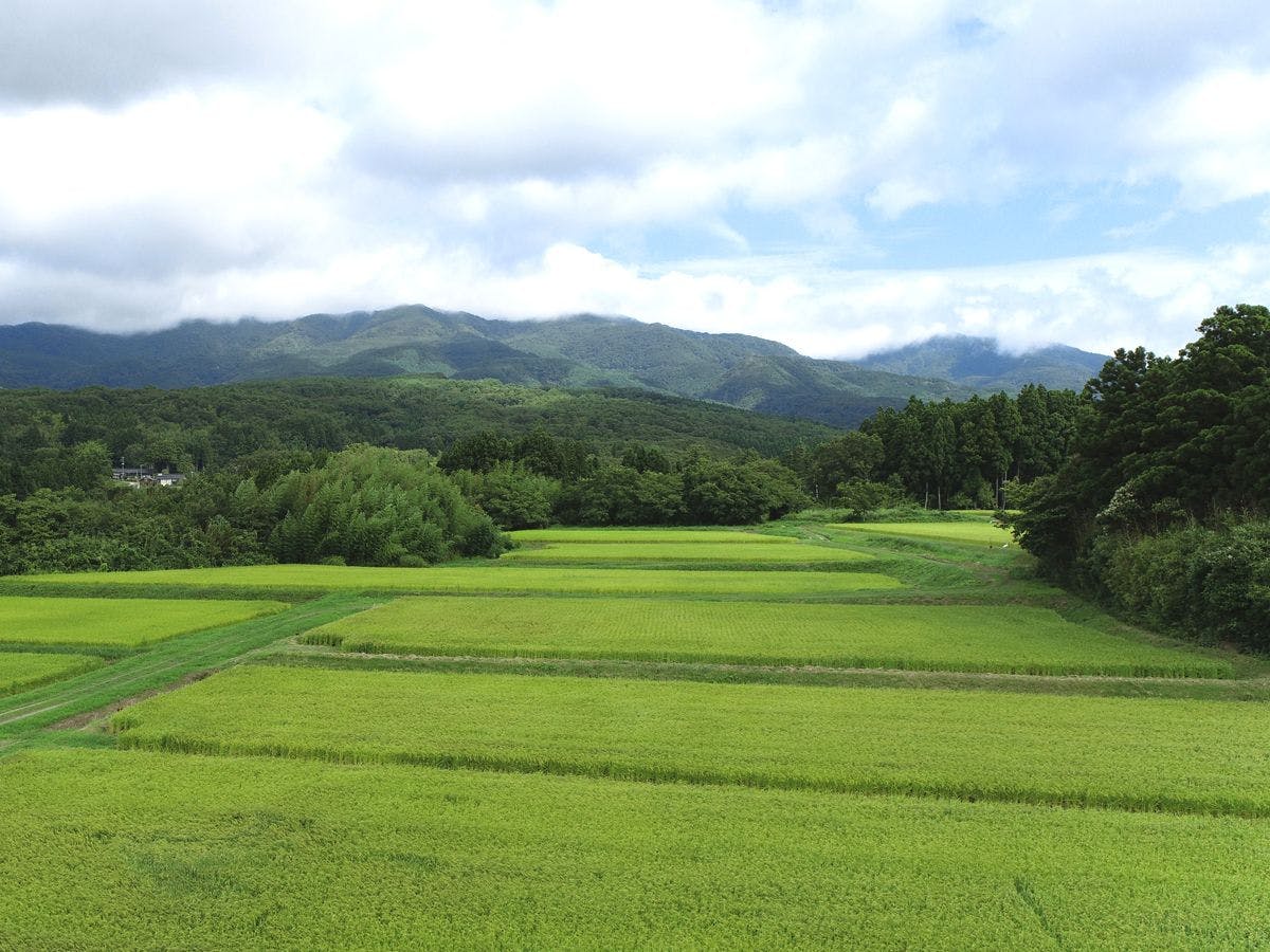 Shikishima Inn