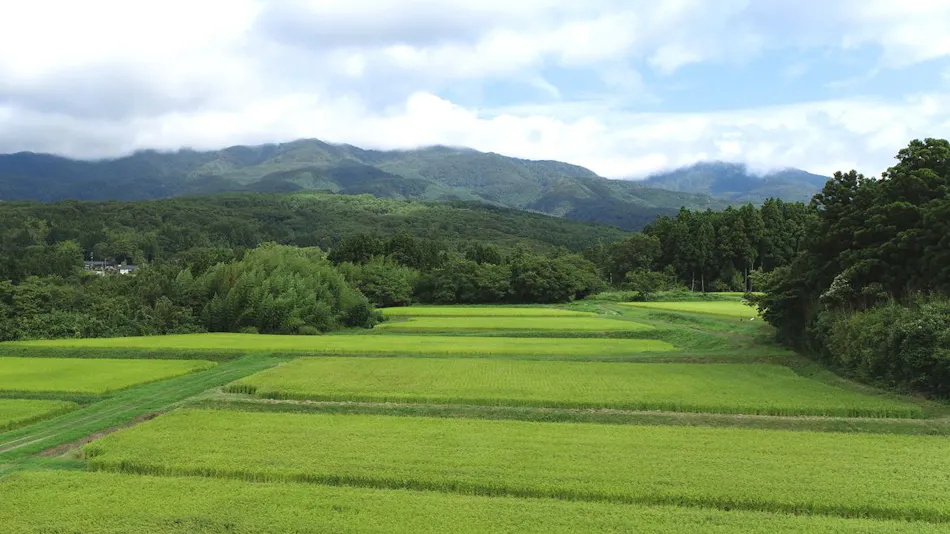 Shikishima Inn