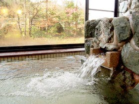 ひろしま県民の森