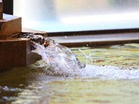 大江戸温泉物語 松島温泉 ホテル壮観