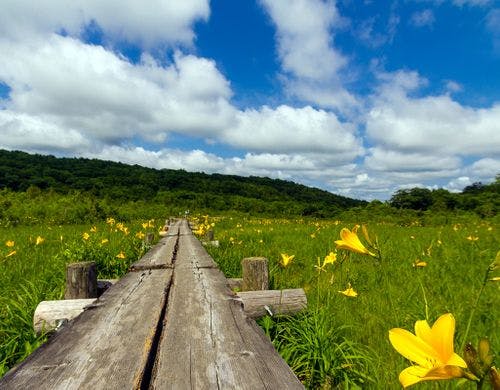 世界谷地原生花園