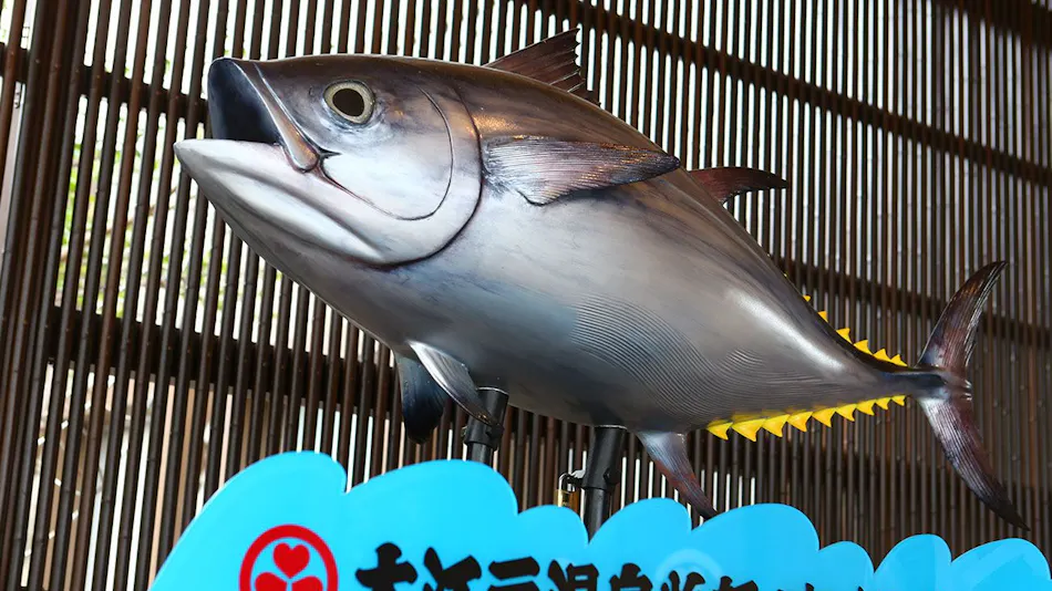 Ooedo Onsen Monogatari Nanki Kushimoto