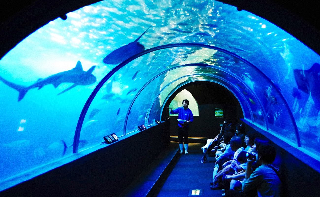 อุทยานใต้ทะเล