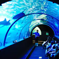 อุทยานใต้ทะเล