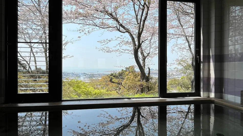 Ryokan Restaurant Donryu