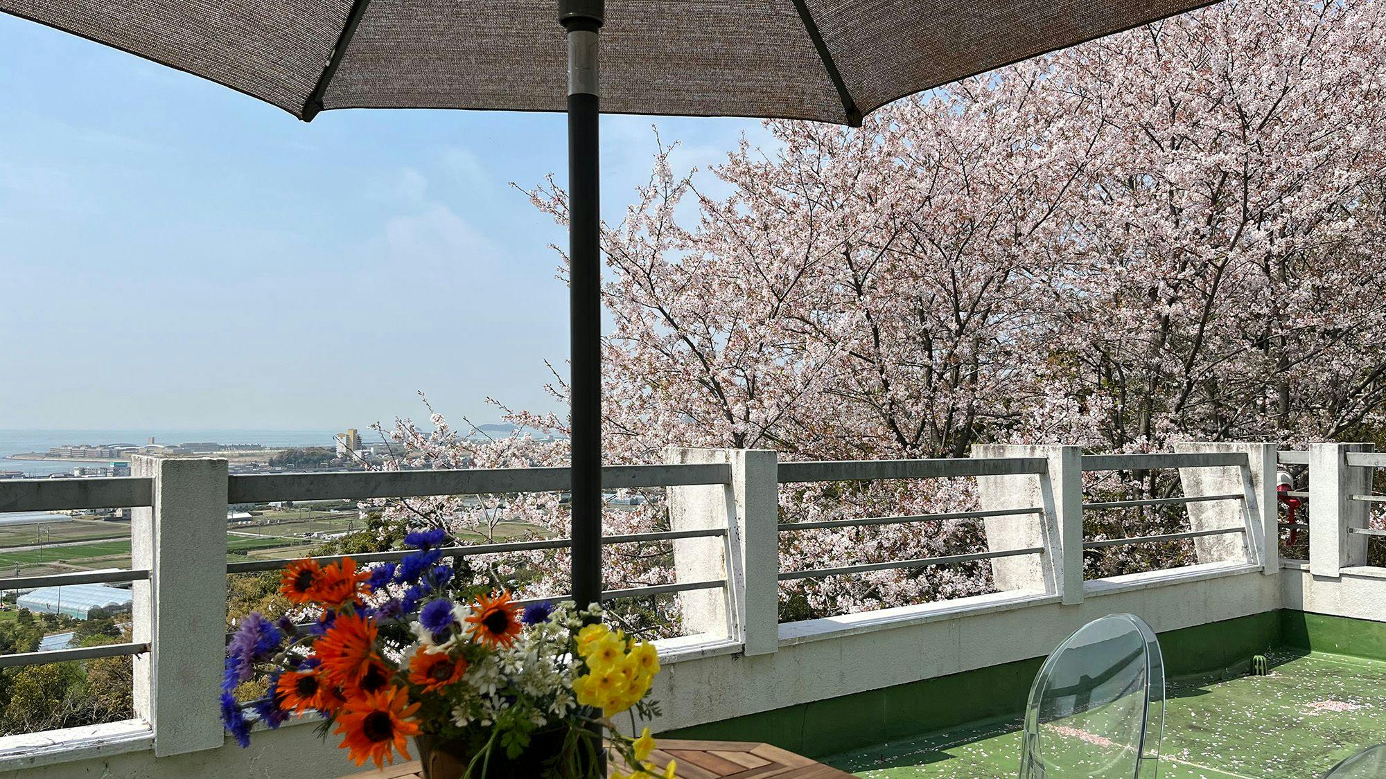 Ryokan Restaurant Donryu