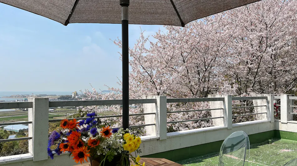 Ryokan Restaurant Donryu