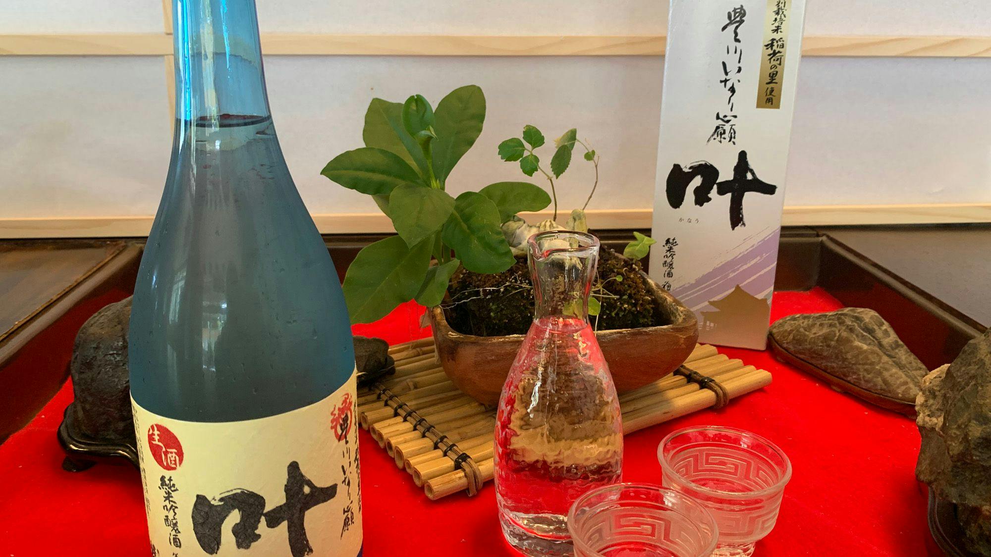 Ryokan Restaurant Donryu