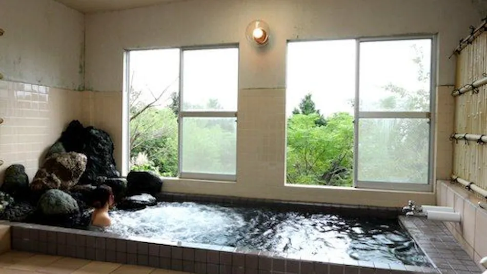 Ryokan Restaurant Donryu