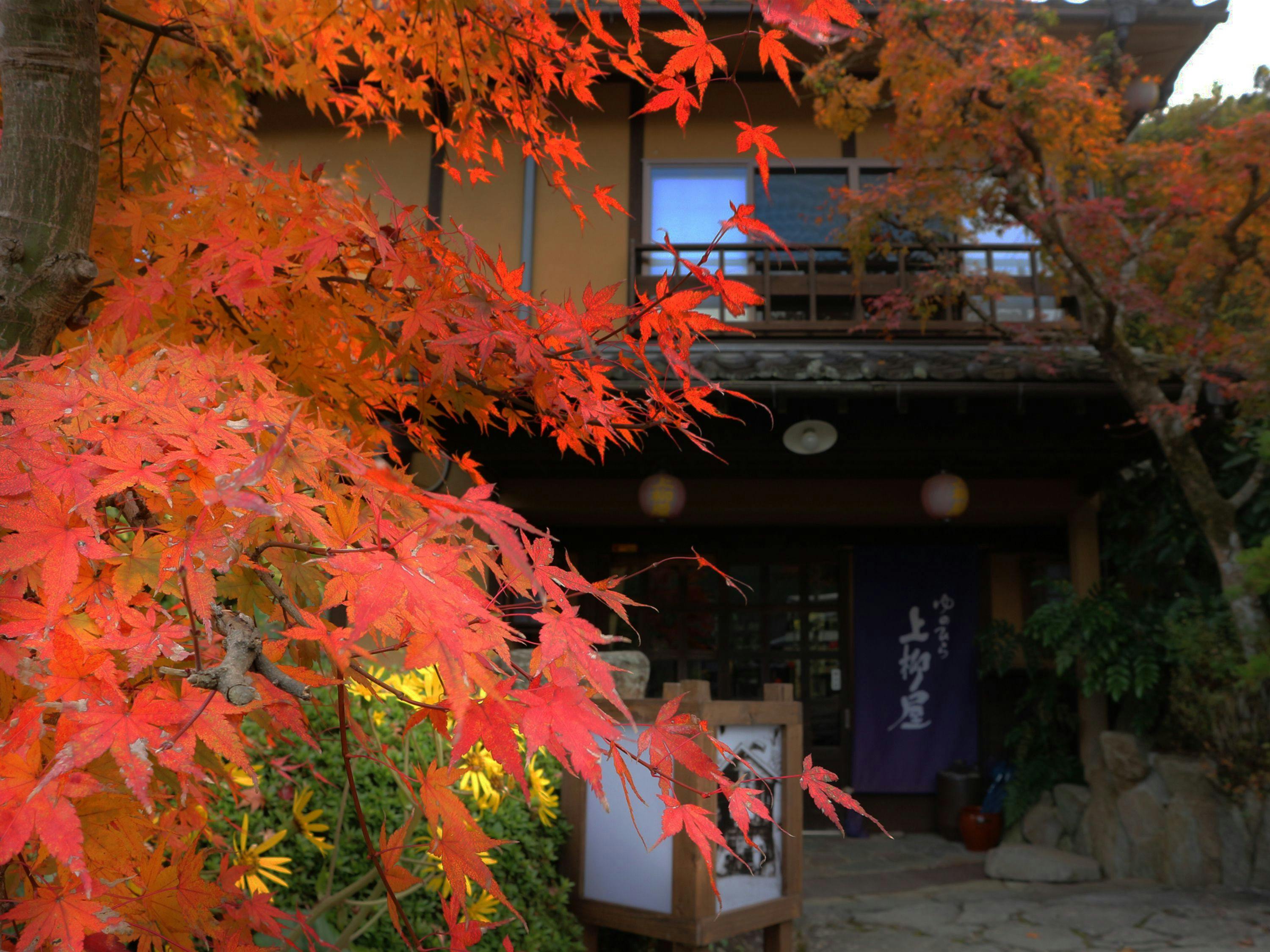 Yunohira Onsen Ryokan Kamiyanagiya