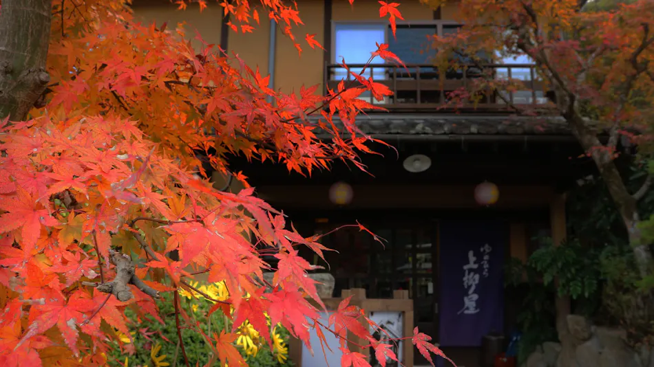 Yunohira Onsen Ryokan Kamiyanagiya