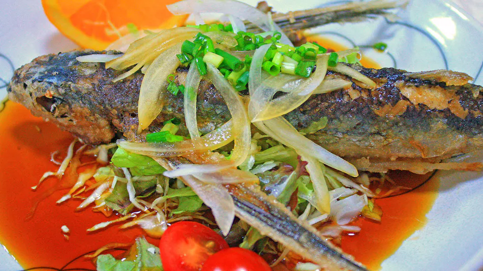 Minshuku Suimeisou