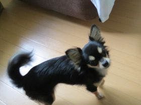 ゆ宿 おさんぽ日和