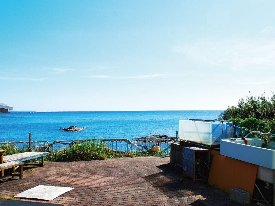 Sea Inn