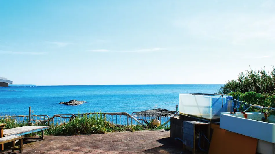 Sea Inn