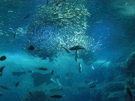 ダイヤモンド鎌倉別邸ソサエティ 2枚目