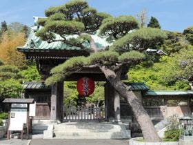 ダイヤモンド鎌倉別邸ソサエティ